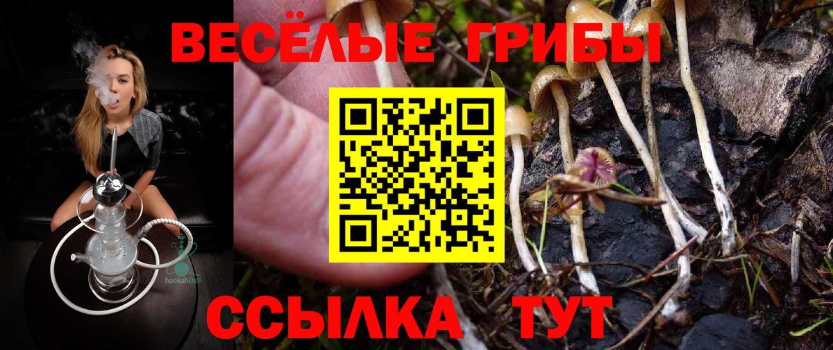 Галлюциногенные грибы Psilocybe  Вход с VPN  Надым  Псилоцибиновые грибы Psilocybe 